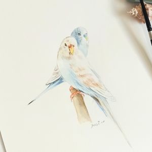 Original watercolor painting parrots